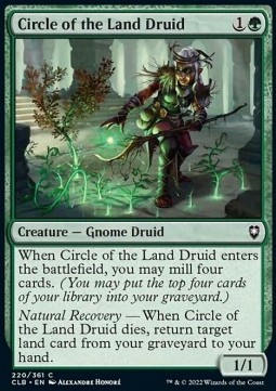 Circle of the Land Druid