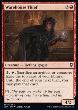 Warehouse Thief