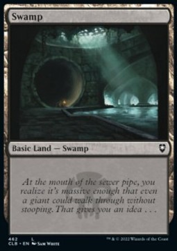 Swamp (V.4)