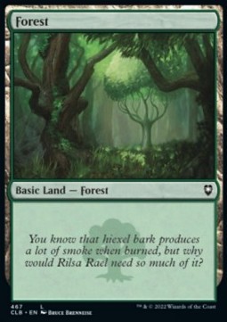 Forest (V.1)