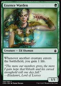 Essence Warden