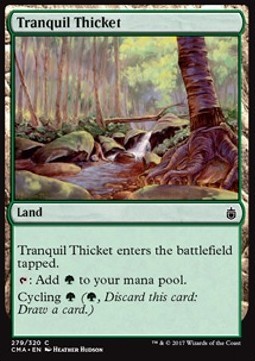 Tranquil Thicket