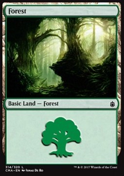 Forest