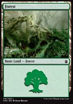 Forest