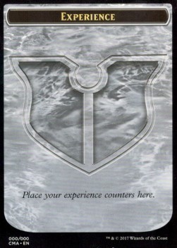 Experience