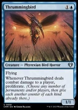Thrummingbird