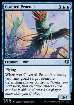 Coveted Peacock