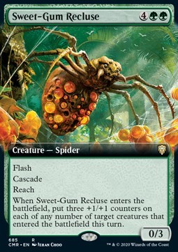 Sweet-Gum Recluse