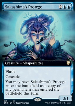 Sakashima's Protégé