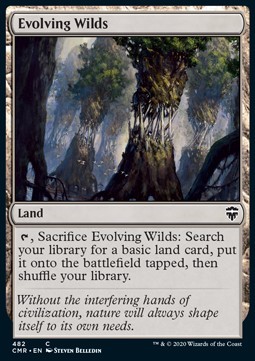 Evolving Wilds