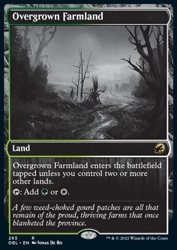 Overgrown Farmland