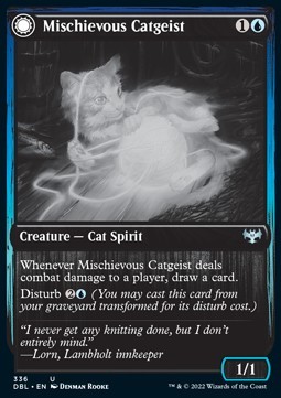 Mischievous Catgeist // Catlike Curiosity