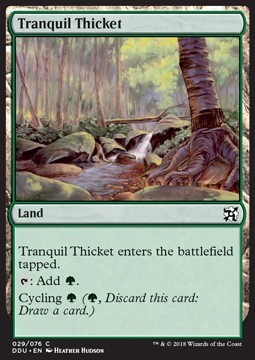 Tranquil Thicket