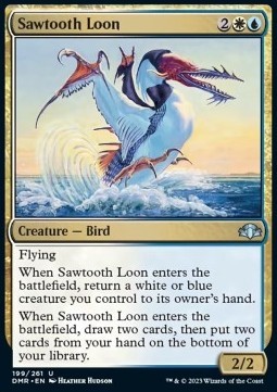 Sawtooth Loon
