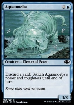 Aquamoeba