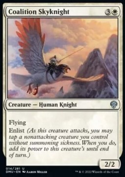 Coalition Skyknight