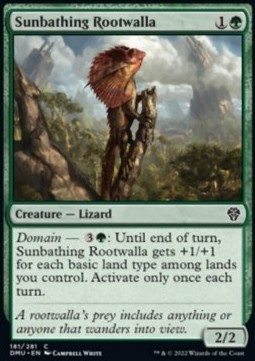 Sunbathing Rootwalla