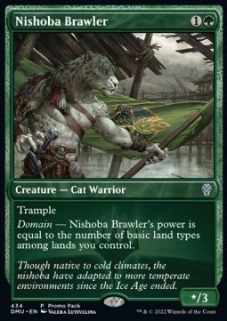 Nishoba Brawler-PROMO