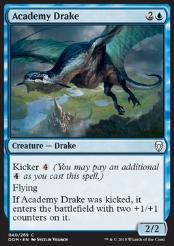 Academy Drake