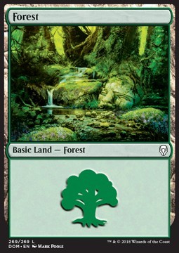 Forest (Version 4)