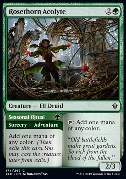 Rosethorn Acolyte