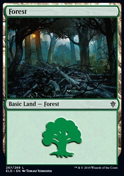 Forest (Version 2)