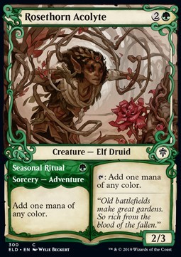 Rosethorn Acolyte