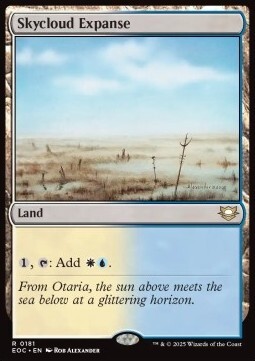 Skycloud Expanse