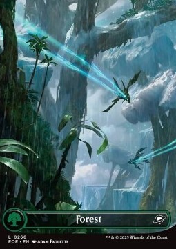 Forest (V.1)