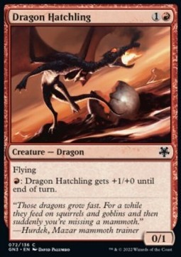 Dragon Hatchling