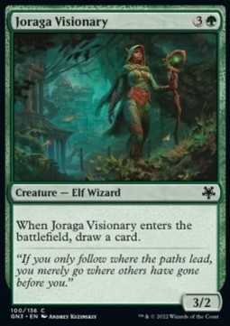 Joraga Visionary