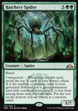 Hatchery Spider