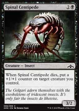 Spinal Centipede