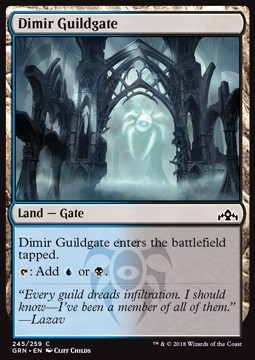 Dimir Guildgate (Version 1)