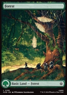 Forest