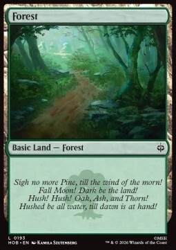 Forest (V.1)