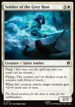Soldier of the Grey Host