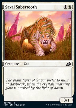Savai Sabertooth