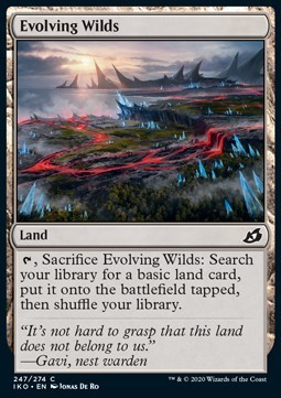 Evolving Wilds