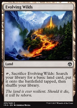 Evolving Wilds