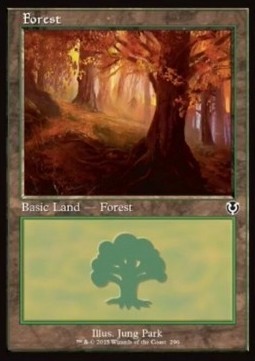 Forest (V.1)