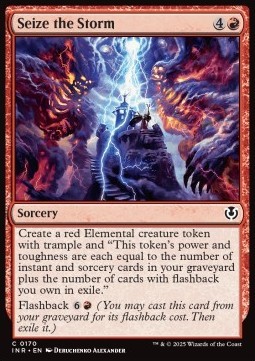Seize the Storm