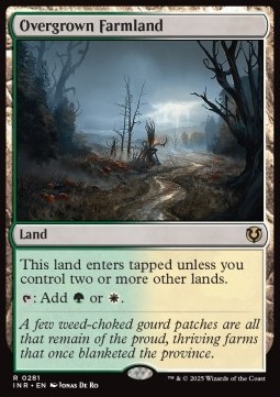 Overgrown Farmland