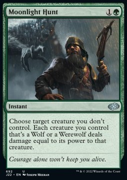 Moonlight Hunt