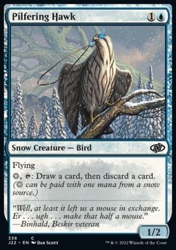 Pilfering Hawk