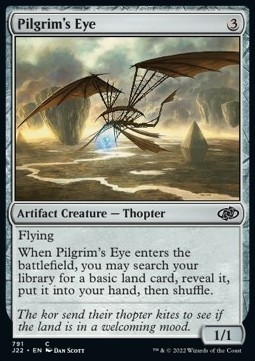 Pilgrim's Eye