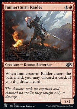 Immersturm Raider