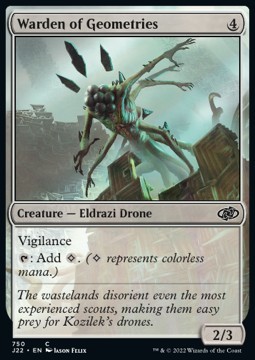 Warden of Geometries