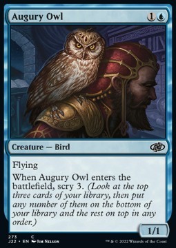 Augury Owl