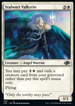 Stalwart Valkyrie